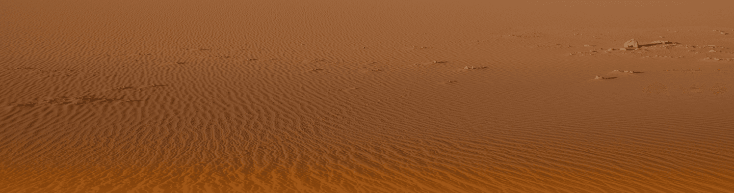 Desert landscape