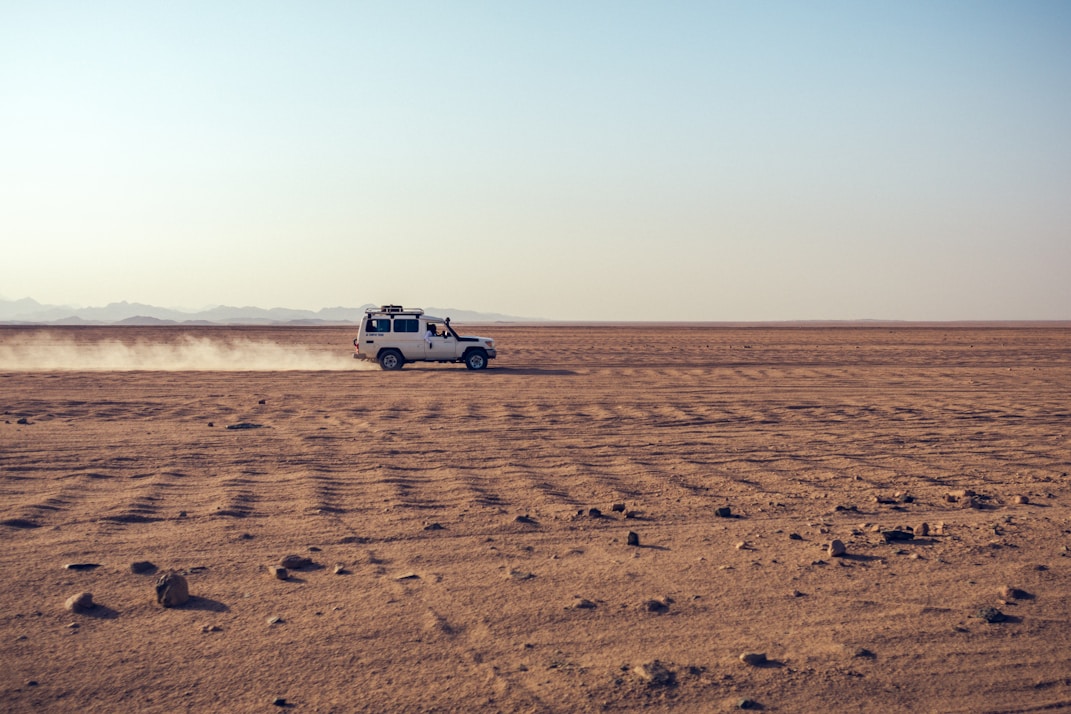 Safari Trips